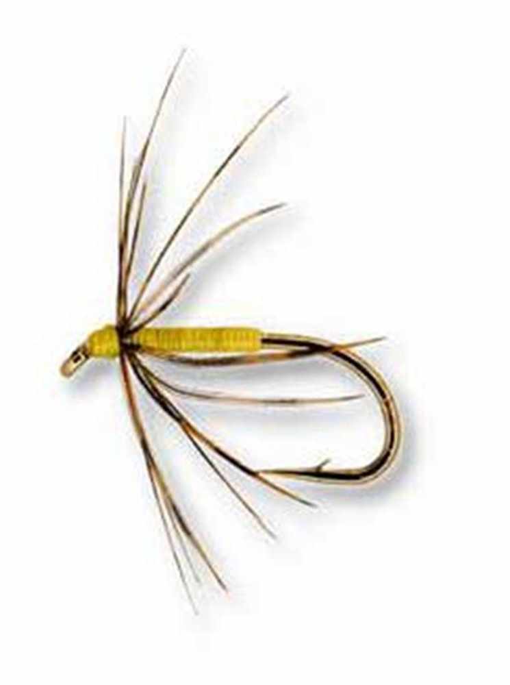 Grouse & Yellow Northern Spider - Heritage Range
