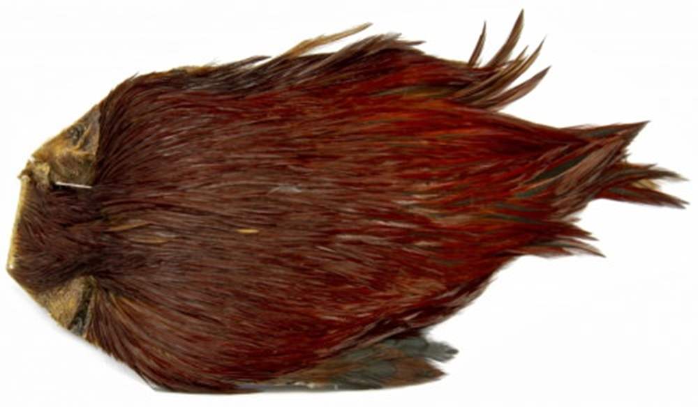 Turrall Indian Cock Feather Neck Red / Brown Fly Tying Materials