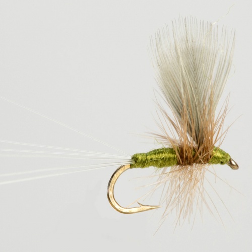 The Essential Fly Blue Winged Olive Fishing Fly