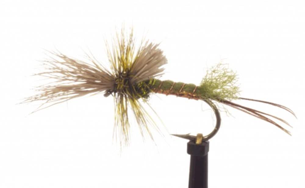 The Essential Fly Green Drake Cripple Fishing Fly