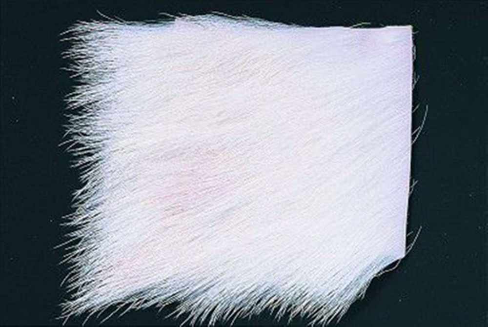 Calf Body Hair