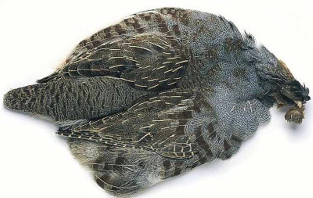 English Grey Partridge Complete Skin