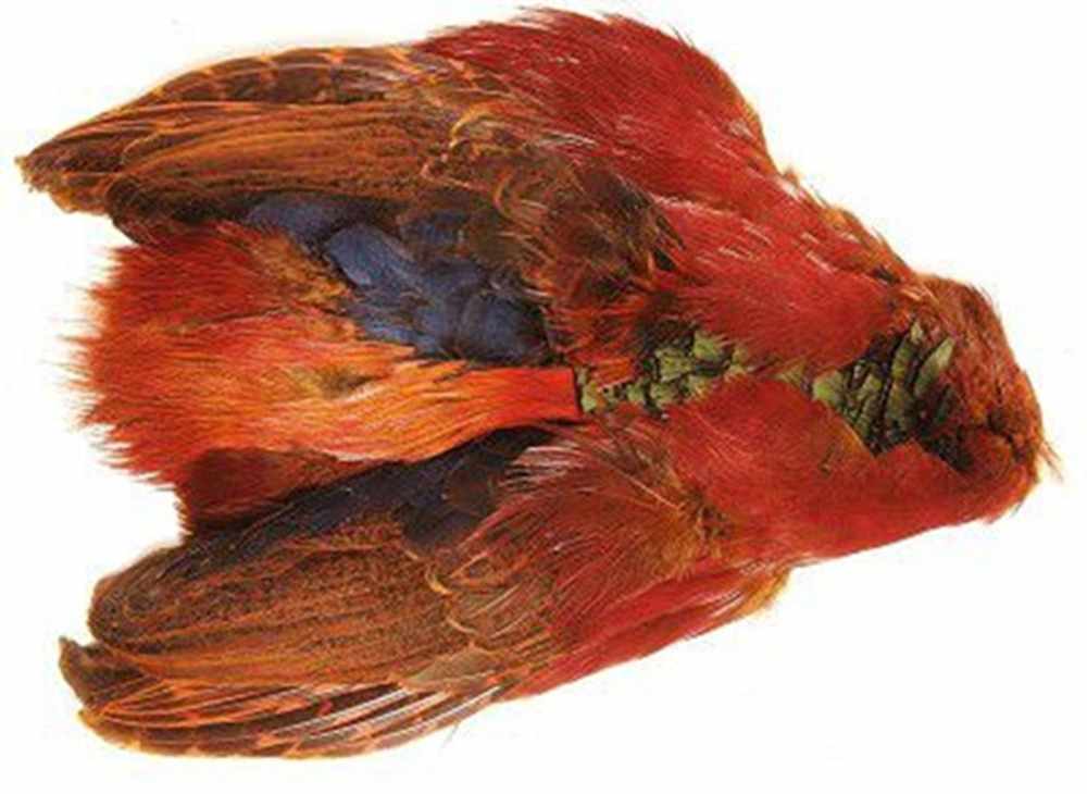 Golden Pheasant Body Skin- Dyed