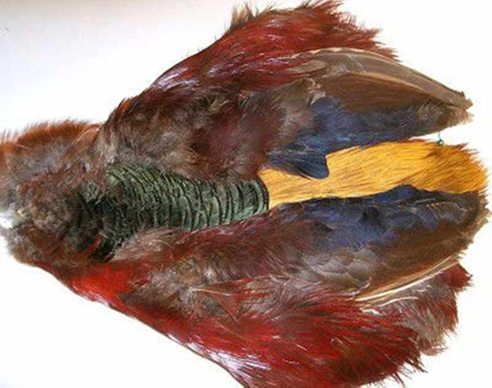Golden Pheasant Natural Body Skin