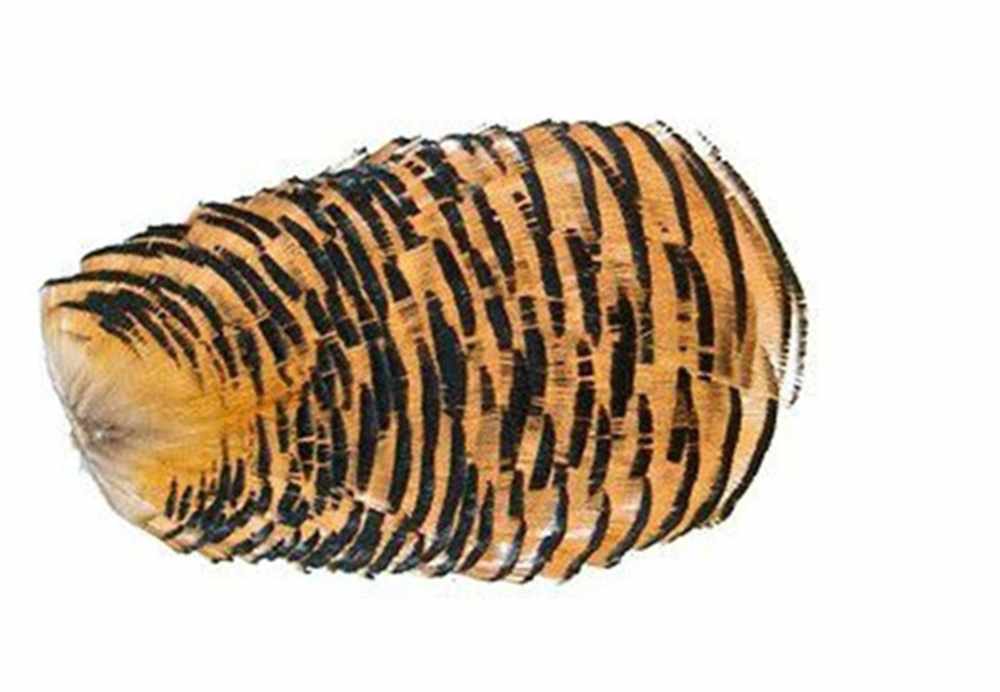 Golden Pheasant Tippet Collar No 1
