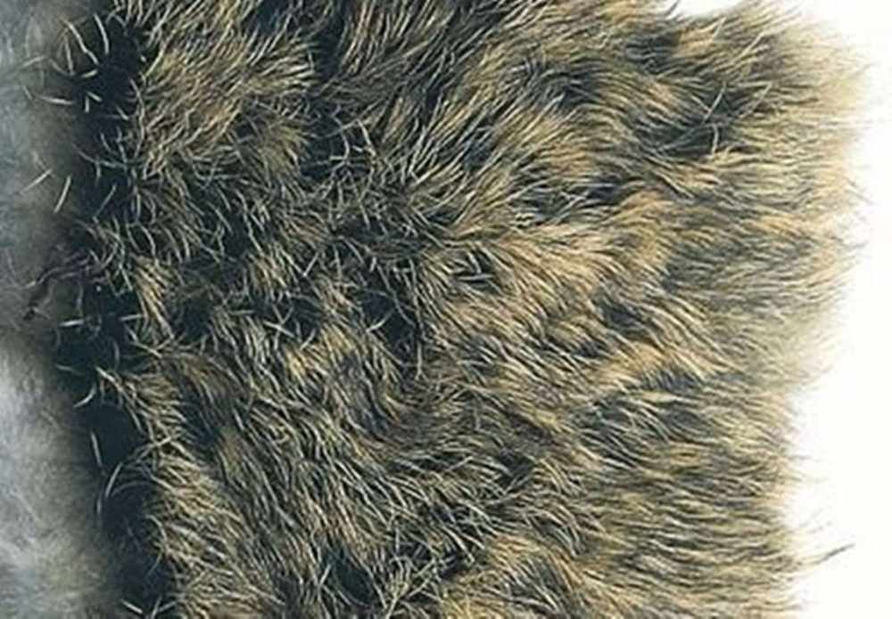Hares Natural Fur