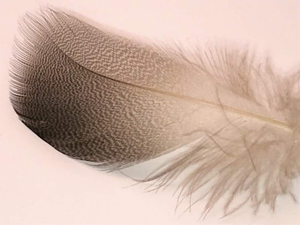 Veniard Mallard Duck Drake Bronze Shoulders Small Fly Tying Materials