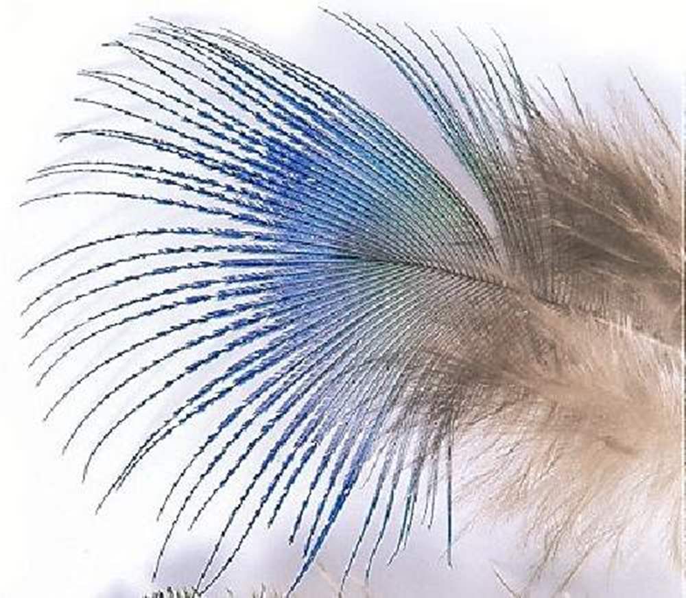 Veniard Peacock Blue Neck Fly Tying Materials