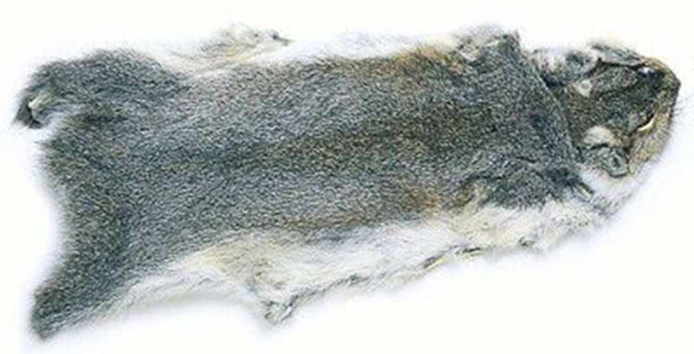 Grey Squirrel Skin-Whole