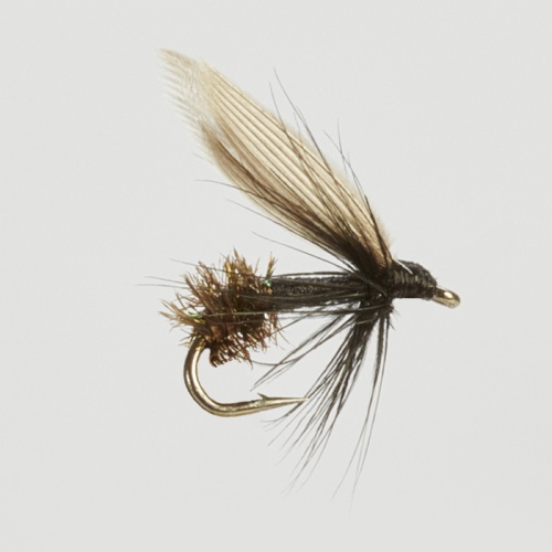 The Essential Fly Black Ant Wet Fishing Fly
