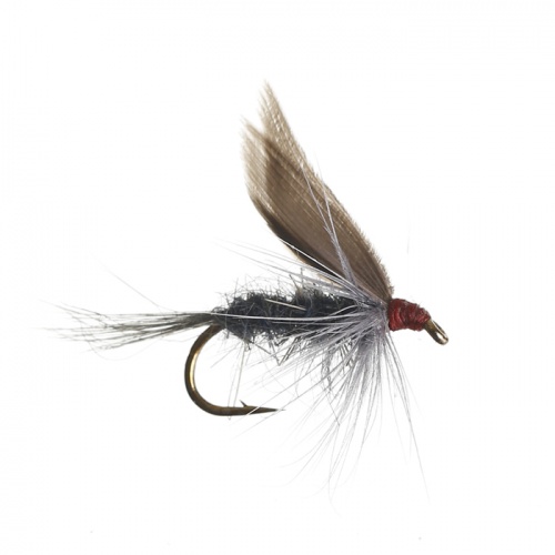 The Essential Fly Iron Blue Dun Wet Fishing Fly