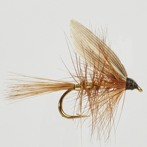 The Essential Fly Wickhams Fancy Wet Winged Fishing Fly