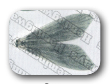 Hemingway's Caddis Wings Extra Large Gray Fly Tying Materials