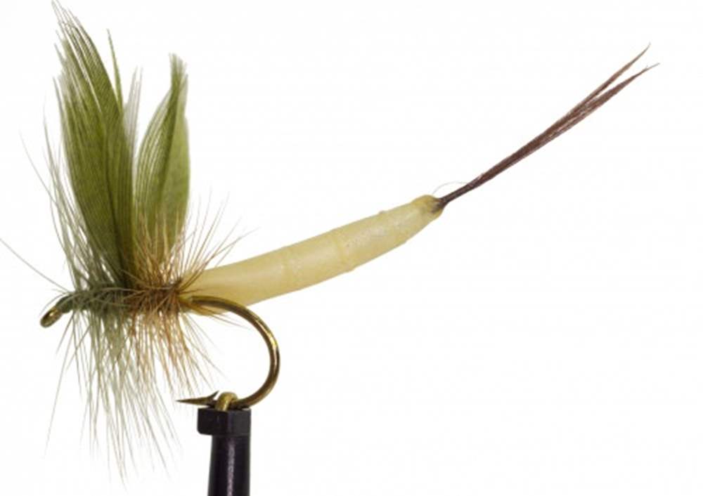 The Essential Fly Green Drake Detached Mayfly Fishing Fly