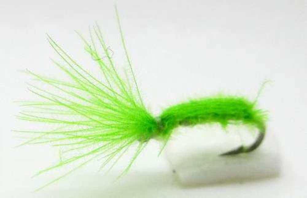 The Essential Fly Iotbb Lime Green It Ought To Be Banned! Lime Green Fishing Fly