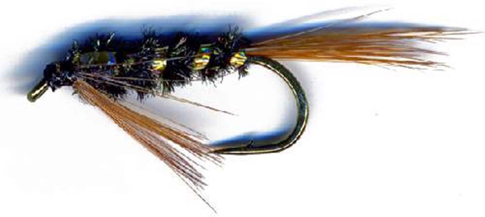 The Essential Fly Diawl Bach Holo Cheek Gold Fishing Fly