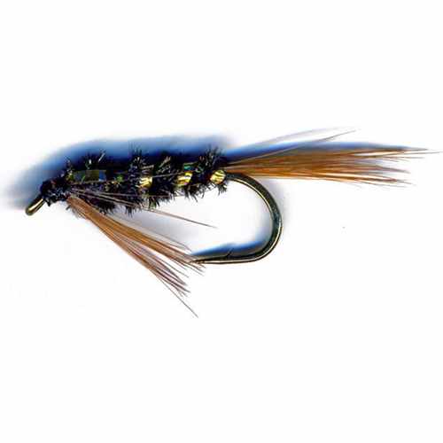 Diawl Bach Holo Cheek Gold