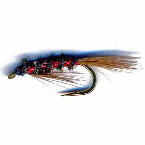 Diawl Bach Holo Red