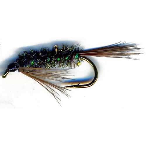 Diawl Bach Holo Green