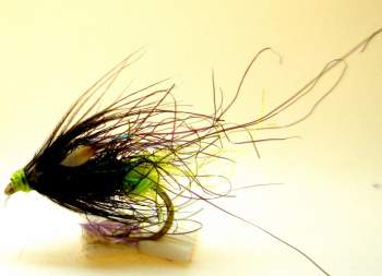 The Essential Fly Chartreuse And Black Fishing Fly