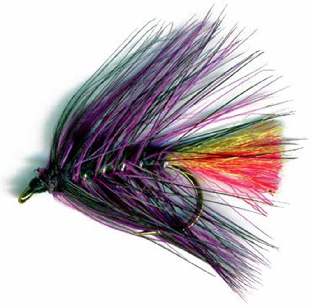 Clan Chief - Irish Bumble