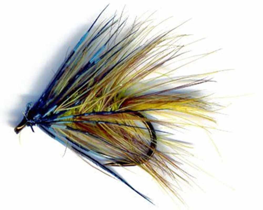 Golden Olive - Irish Bumble