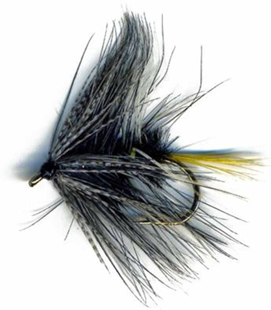 Grey Ghost - Irish Bumble