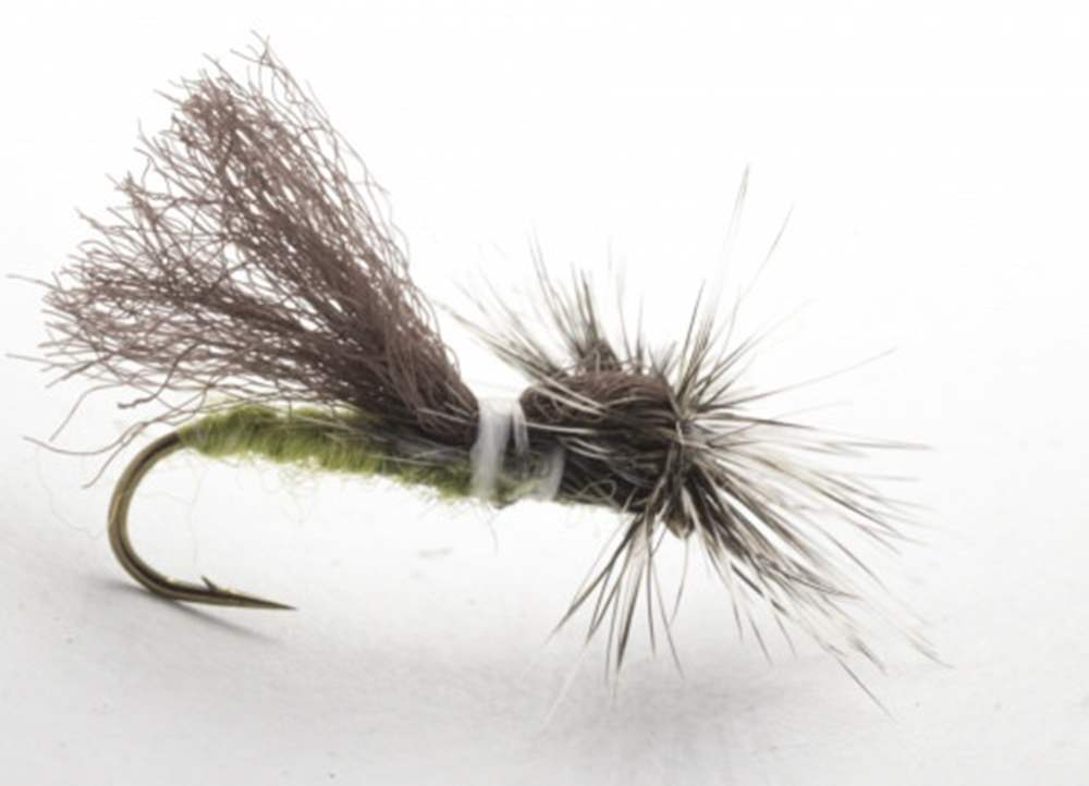 The Essential Fly Parapoly Sedge Dark Olive Fishing Fly