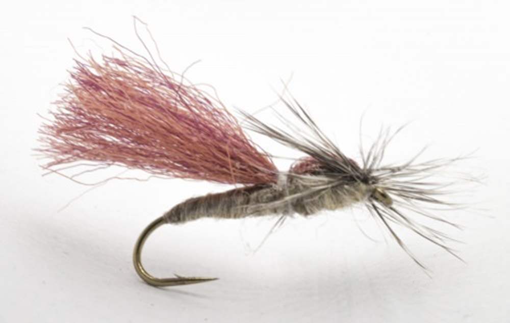 The Essential Fly Parapoly Sedge Light Tan Fishing Fly
