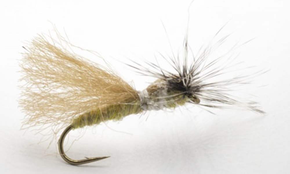 The Essential Fly Parapoly Sedge Grannom Fishing Fly