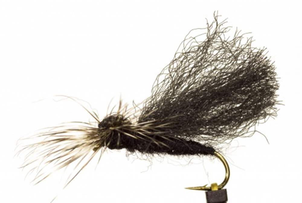 The Essential Fly Parapoly Sedge Welshmans Button Sericostoma Personatum Black Caddis Fishing Fly