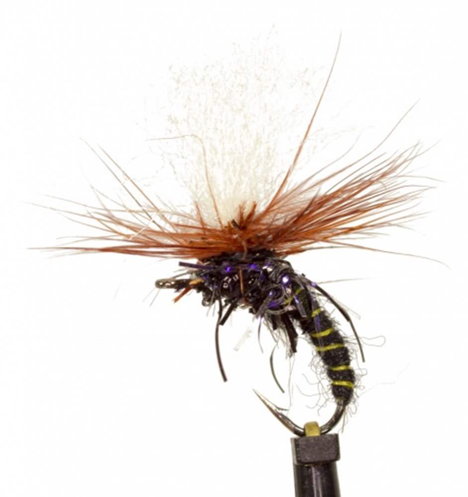 The Essential Fly Hvk Klinkhamer Black Fishing Fly