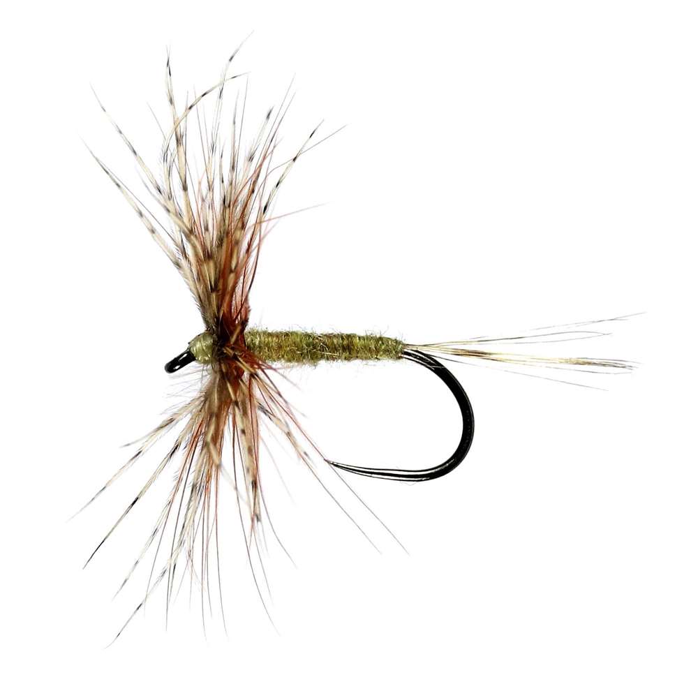 Caledonia Flies March Brown Jingler Hackled Dry Barbless #14 Fishing Fly