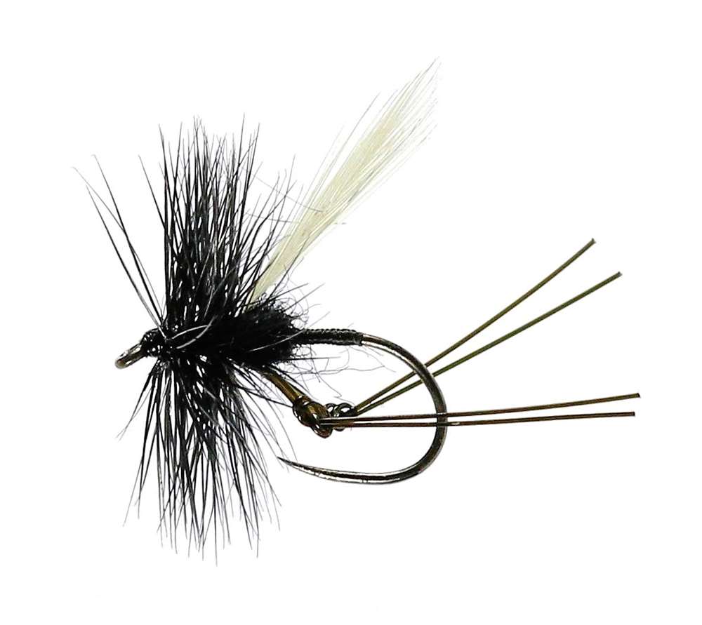 Caledonia Flies Hawthorne Winged Dry Barbless #12 Fishing Fly