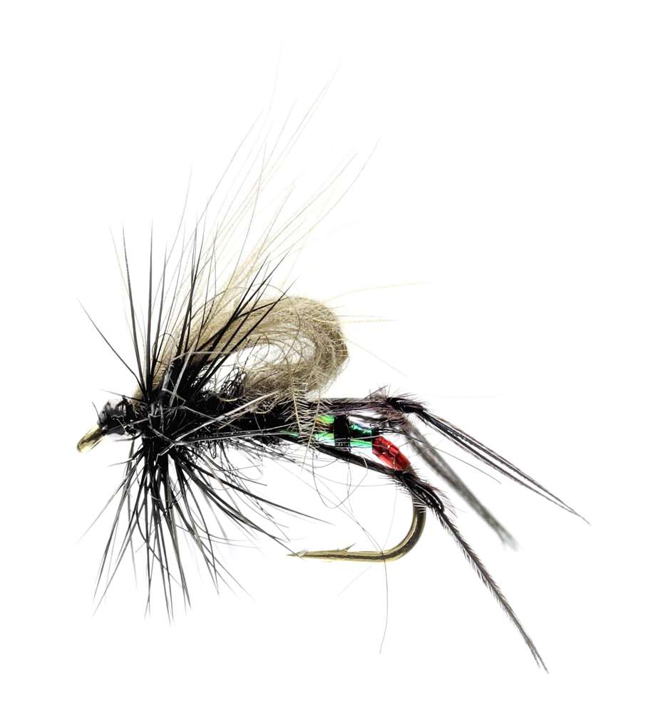 Caledonia Flies Black Hopper Cdc #12 Fishing Fly Barbed Dry Fly