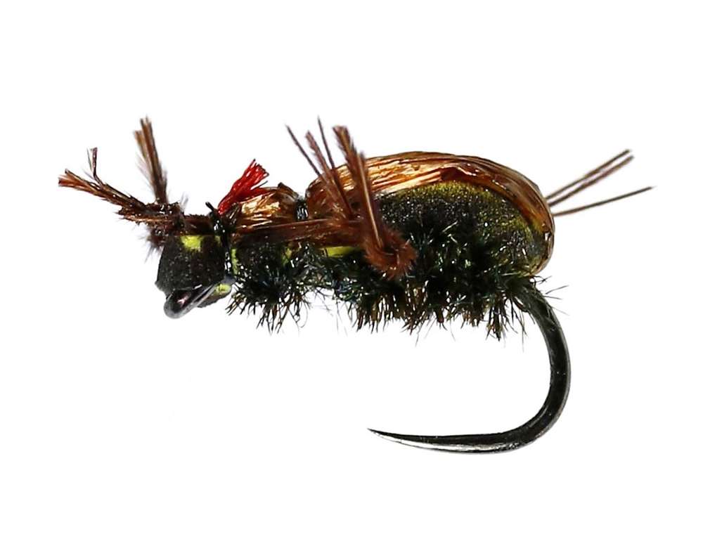 Caledonia Flies Brown Beetle Dry Barbless #12 Fishing Fly