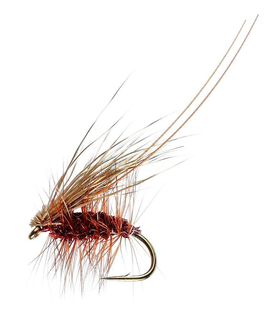 Caledonia Flies Irresistible Claret Murrough Sedge #10 Fishing Fly