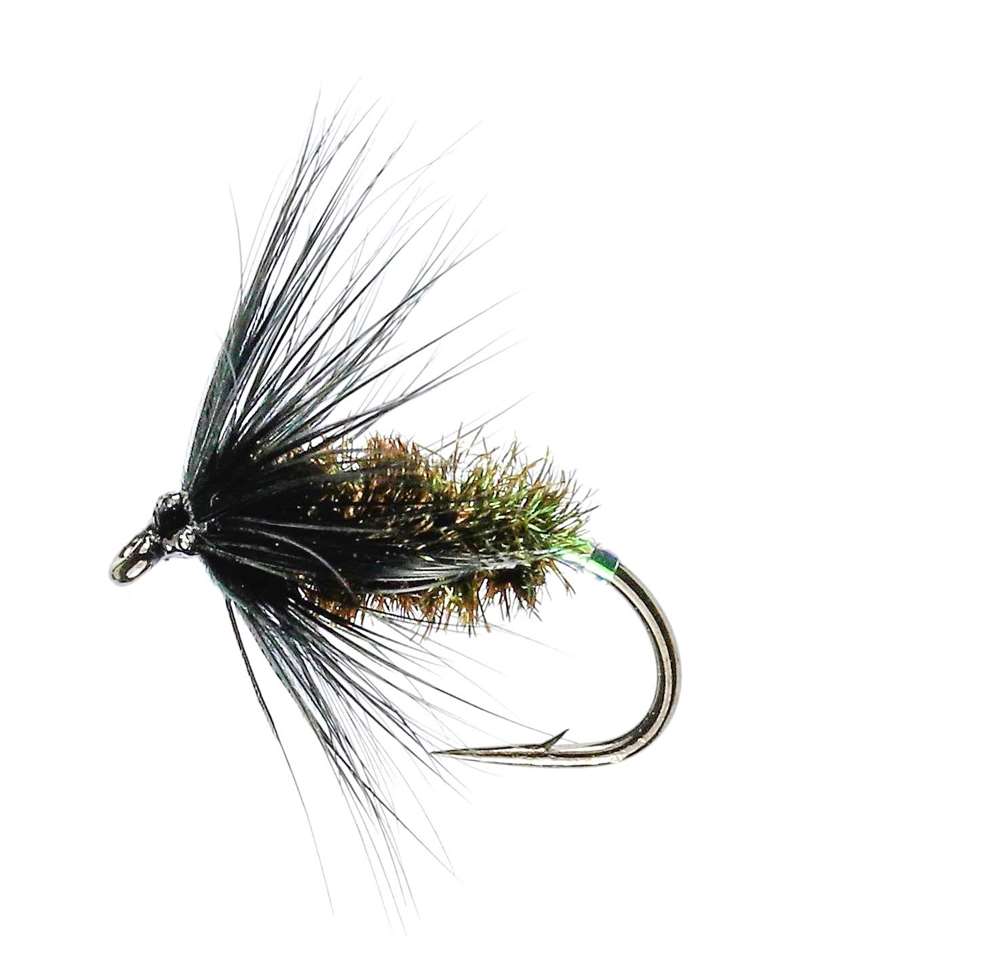 Caledonia Flies Black & Peacock Spider Hackled Wet #12 Fishing Fly