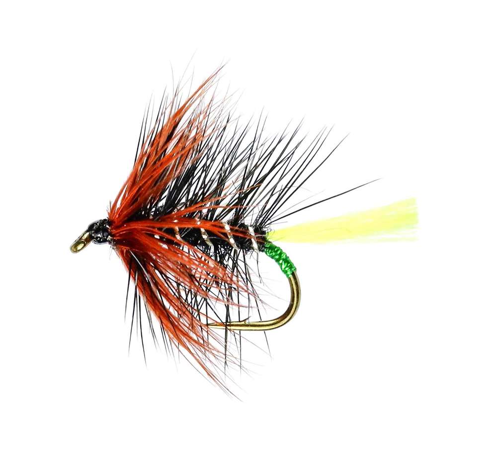 Caledonia Flies Kate Mac Yellow Tail Hackled Wet #12 Fishing Fly