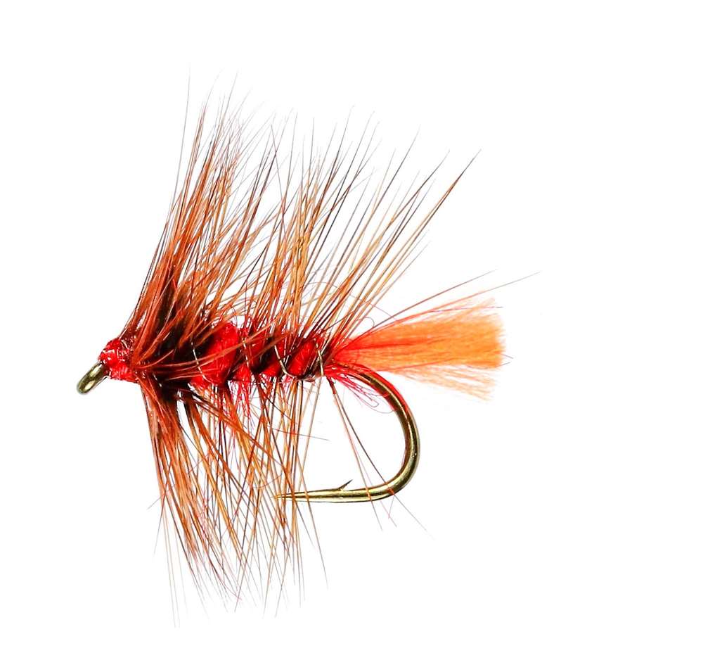 Caledonia Flies Soldier Palmer Hackled Wet #12 Fishing Fly