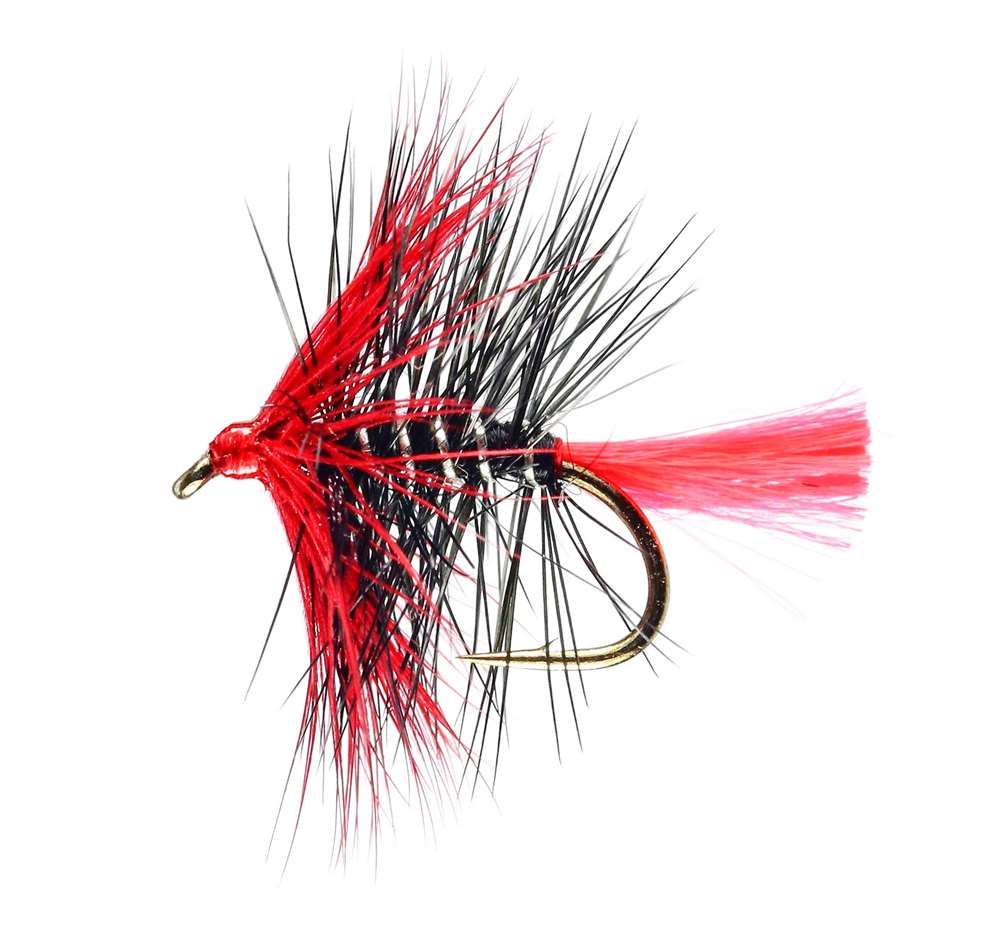Caledonia Flies Red Zulu Hackled Wet #12 Fishing Fly