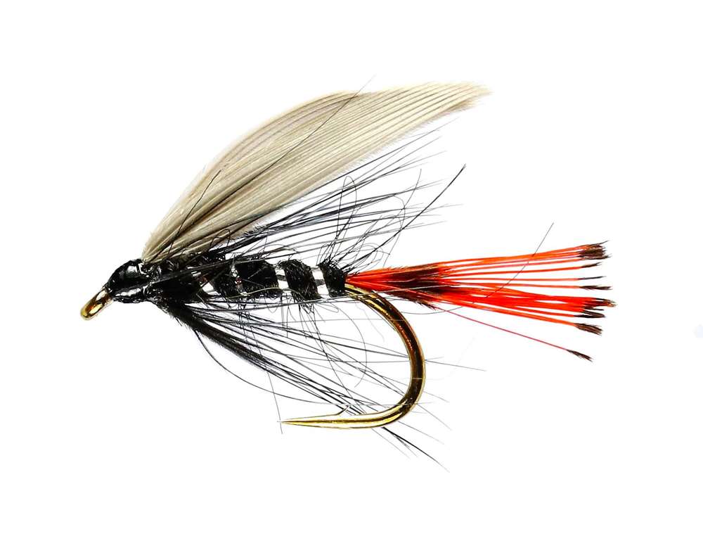 Caledonia Flies Blae & Black Winged Wet #12 Fishing Fly
