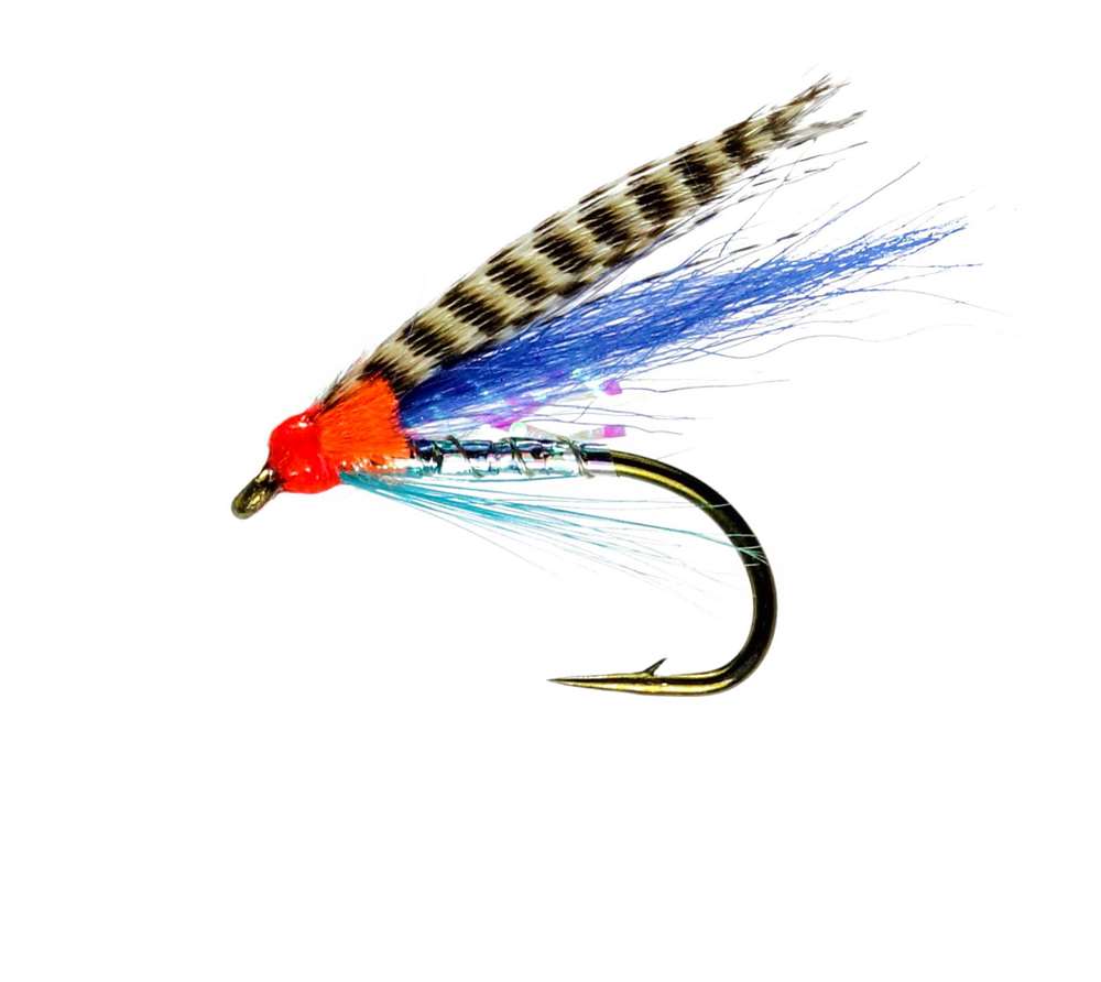 Caledonia Flies Wee Medicine Fly Winged Wet #8 Fishing Fly