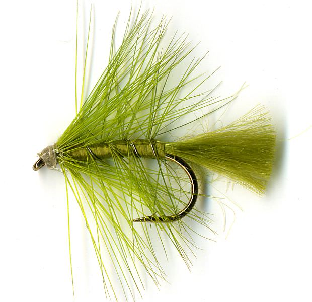 The Essential Fly Olive Palmer Fishing Fly
