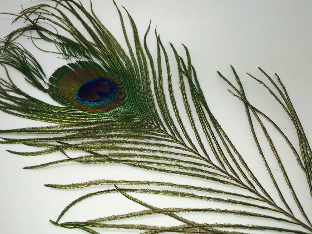 Veniard Peacock Eye Top Natural Fly Tying Materials