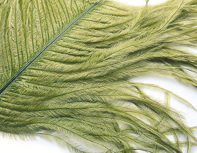 Veniard Ostrich Herl Feather White Fly Tying Materials