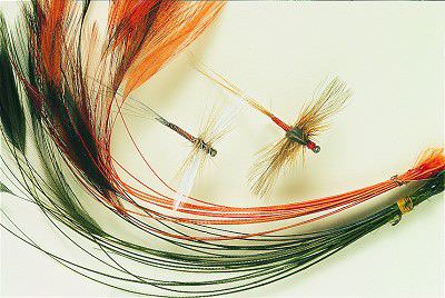 Veniard Ready Stripped Hackle Quills Medium Olive Fly Tying Materials