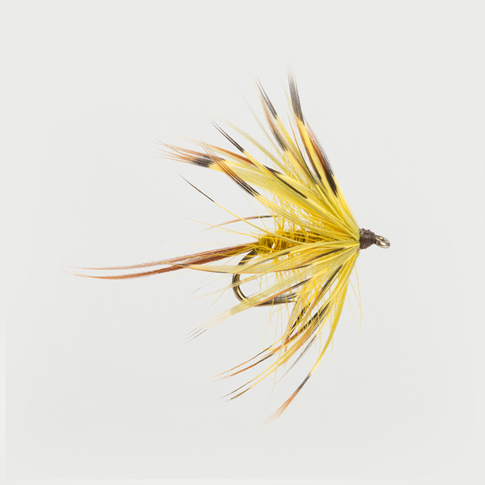 The Essential Fly Golden May Fishing Fly