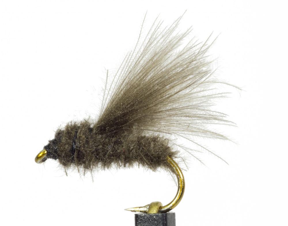 The Essential Fly Sedge Dark Dun Cdc Fishing Fly