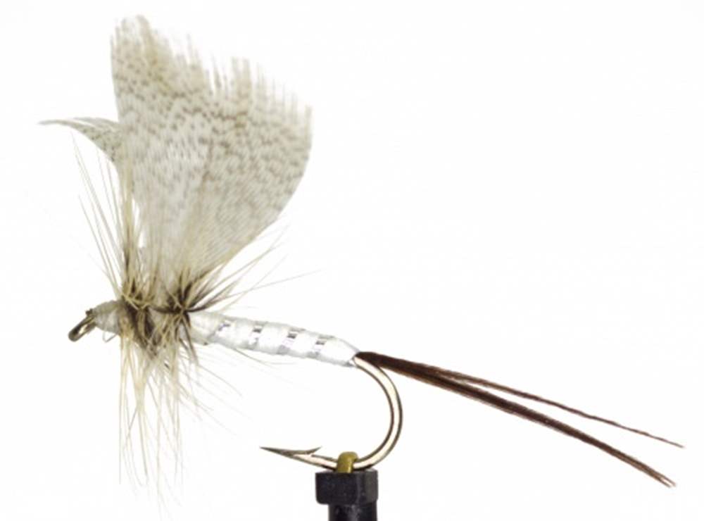 The Essential Fly White Drake Mayfly Fishing Fly